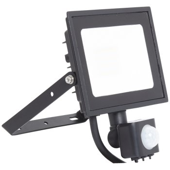 Ansell Lighting AEDELED20 WW PIR  Eden 20W 3000K Black LED Floodlight with PIR For Discount