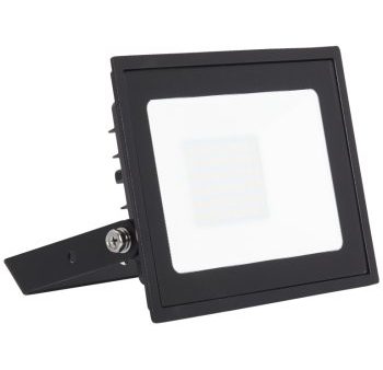 Ansell Lighting AEDELED30 WW  Eden 30W 3000K Black LED Floodlight Cheap