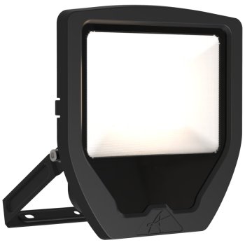 Ansell Lighting ACAE50 1 WW B  Calinor EVO 50W 3000K Black LED Floodlight Cheap